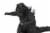 Godzilla 6 Inch Resin Paperweight Statue Perspective: top