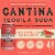 Cantina Especial Watermelon Margarita Tequila Soda Perspective: top