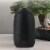 Raven Essential Oil Diffuser Perspective: top