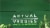 Actual Veggies® Super Greens Veggie Burgers Perspective: top