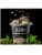 Wicked Kitchen™ Plant-Based Mint Chocolate Chip Ice Dream Perspective: top