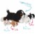 PixieCrush Shiba Inu Puppies Mommy & 4 Babies Plush Toy Gift Perspective: top