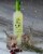 Rancho La Gloria Ready To Drink Classic Lime Skinny Margarita Drink Mix Low Calorie Wine Perspective: top