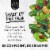 Modern Mill® Protein Packed Salad Topper Multipack Perspective: top