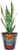 Evergreen Talavera Vase Perspective: top