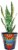 Talavera Vase Perspective: top