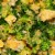 Daily Harvest Broccoli + Cheeze Harvest Bowl 10.5 oz Perspective: top