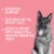 Pet Health Pros - Advanced Probiotics for Dogs - Promotes Happy Gut, Happy Dog Perspective: top