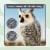 BIRD BLINDER Fake Owl Decoy Set of 3 Gray - Scare Birds Away! Perspective: top