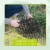Homarden 6.5ft Black Cat Scat Mat - Repellent, Deterrent & Spikes Perspective: top