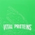 Vital Proteins Matcha Collagen Packets Perspective: top