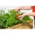 VegTrug Herb Garden (divider) Gray Wash FSC 100% Perspective: top
