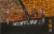 Scofflaw Brewing Pog Basement Ipa 12 Oz (6pk) Perspective: top
