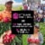 Pitaya Foods® Organic Acai Energy Smoothie Bowl Perspective: top