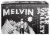 Melvin Brewing Star Valley IPA Perspective: top