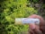 KYVAN Ultimate Lip Smacker Variety 6 Pack Lip Balms Perspective: top