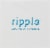 Ripple® Dairy-Free Original Milk Perspective: top