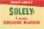 Solely® Mango Fruit Jerky Pack Perspective: top