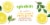 Spindrift® Half Tea Half Lemon Flavored Sparkling Water Cans Perspective: top