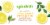 Spindrift® Half Tea Half Lemon Flavored Sparkling Water Cans Perspective: top