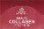 Ancient Nutrition Multi Collagen Protein Powder Stick Packs Perspective: top