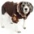 Pet Life Designer Patterned Suede Argyle Sweater Pet Jacket Perspective: top