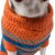 Pet Life Heavy Cable Knit Striped Fashion Polo Dog Sweater Perspective: top