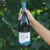 Oregon Del Rio Vineyard Rock Point Pinot Noir Wine Perspective: top