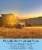 Palouse Brand 15 LBS Wheat Berries Bundle: Hard White, Soft White & Red Spring Wheat Berries Perspective: top