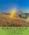 Palouse Brand Bag Bundle: Hard White, Soft White, Hard Red Wheat Berries, 3lbs ea., 9lbs ttl Perspective: top