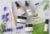 Clearly FLAWLESS, Clean Skin Care for All Skin Types Perspective: top