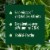 Suja Organic Uber Greens Cold Pressed Juice Drink Perspective: top