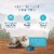 Blue Buffalo™ Wilderness™ Natural Chicken Kitten Dry Cat Food Perspective: top