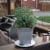 Solar Uplight Planter Base Perspective: top