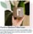 Reel® Premium Bamboo Toilet Paper Perspective: top