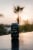 JuneShine Midnight Painkiller Hard Kombucha Perspective: top