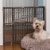 Safety 1st Vintage Grey Wood Doorway Security Gate Perspective: top