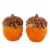 Transpac 3.00 Patterned Acorn Salt & Pepper Shaker Set Autumn Thanksgiving Seasonal Tableware Perspective: top