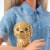 Mattel Barbie® Travel Doll & Accessories Perspective: top