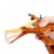Mattel Jurassic World Sound Strike™ Pteranodon Action Figure Perspective: top