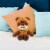 Mattel Star Wars Wicket Perspective: top