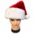 Holiday Home Santa Hat Plush Christmas Decoration Perspective: top