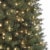 Holiday Home Beaufort Fir Tree with Clear Lights Perspective: top