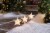 Holiday Home Christmas Pathway Marker Stars Perspective: top