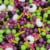 Holiday Home® Halloween Monster Mash Sprinkle Mix Tub Perspective: top