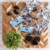 Quest Cookies & Cream Protein Bar Perspective: top