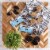 Quest Cookies & Cream Protein Bar Perspective: top