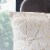 Safavieh Verzla Pillow - Beige Perspective: top