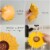 Wrapables Sunflower Coasters, Trivet Mats, Pot Holders (Set of 2), Medium Perspective: top
