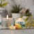 Citronella Apothecary Glass Perspective: top